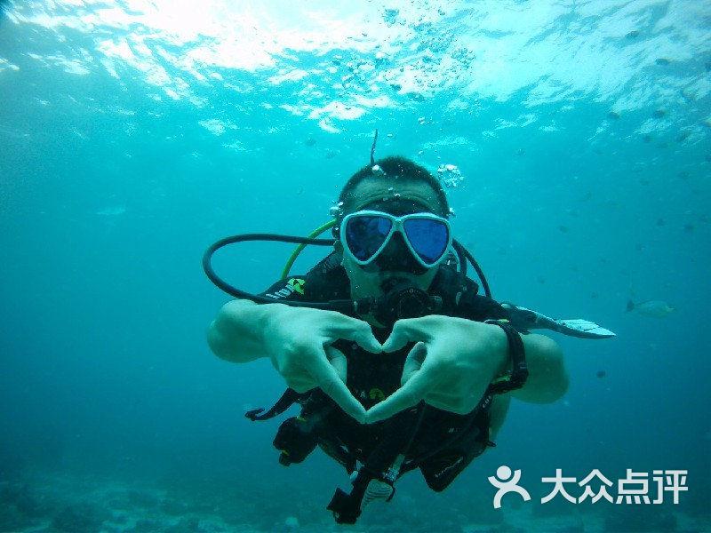 深圳一别墅9563万元拍卖!法拍住宅标王还有这些